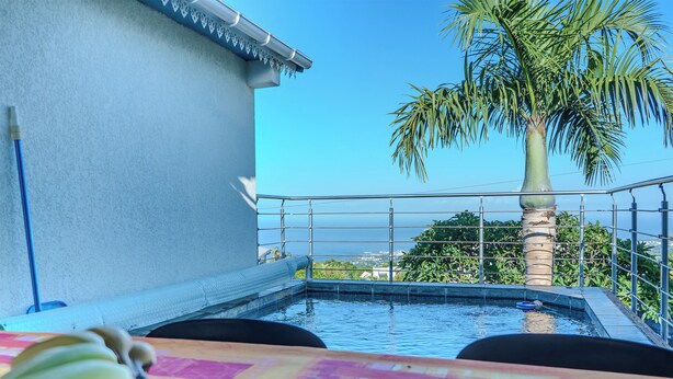 Una piscina con vista sul mare, una palma e un tavolo con banane.