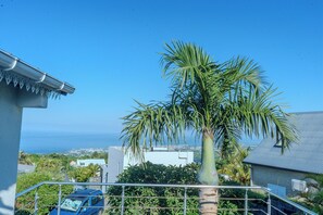 A balcony with a palm tree, a blue car, and a view of the sea. - Kaz vert - Piscine - Wifi (Saint-Pierre)