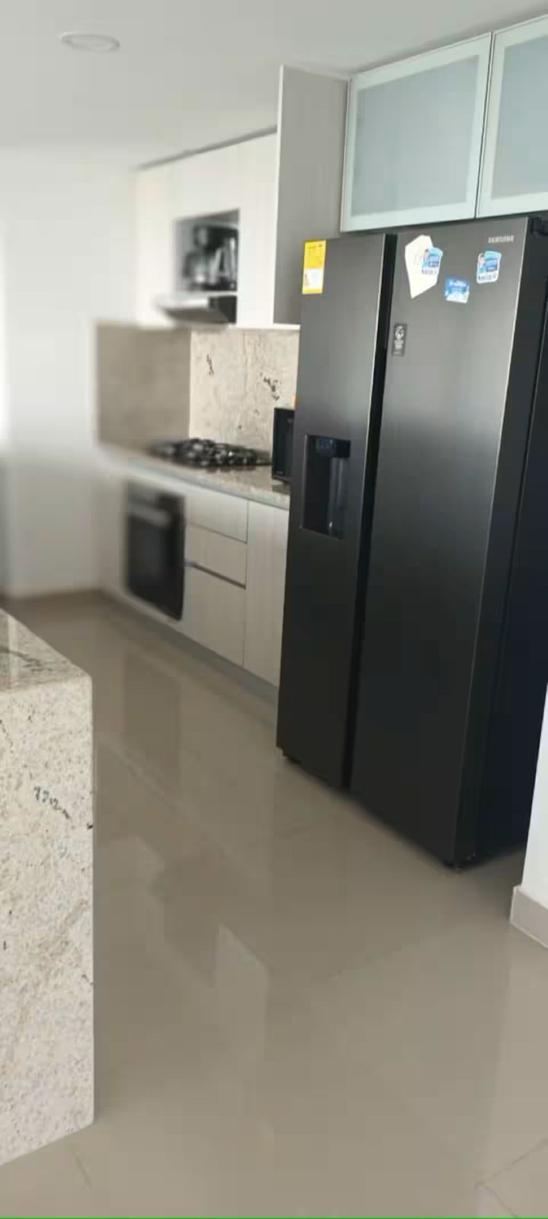 Eine moderne Küche mit einem Edelstahl-Kühlschrank, einem Einbauofen und einer Arbeitsplatte aus Granit.