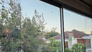 Blick durch ein Fenster, im Hintergrund ein Baum und Gebäude.