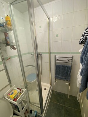 Eine Dusche mit Glastür, einem Handtuchhalter und Ablage für Pflegeprodukte.