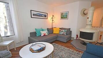 TV, fireplace, offices