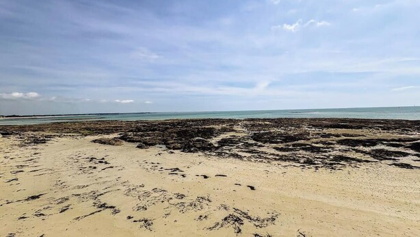 Una playa con formaciones rocosas y cielo despejado.