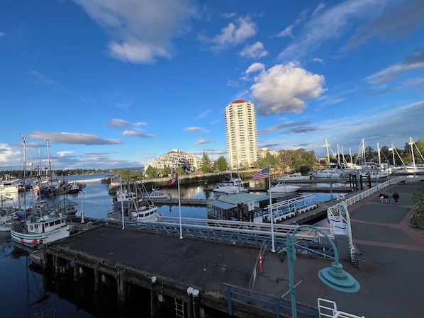 A marina with boats docked, a tall building in the background, and a clear sky.