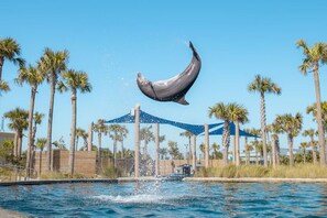 Point of interest - Sunny Getaway | Minutes To Beaches & Downtown (Fort Walton Beach)