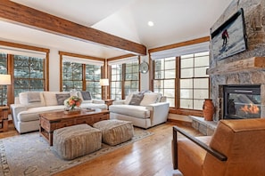 TV, fireplace