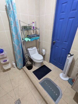 Shower, towels, soap, toilet paper - Brisa del Mar: 3BR Home w/ Private Pool - Walk to Beach & AC (playa san diego)