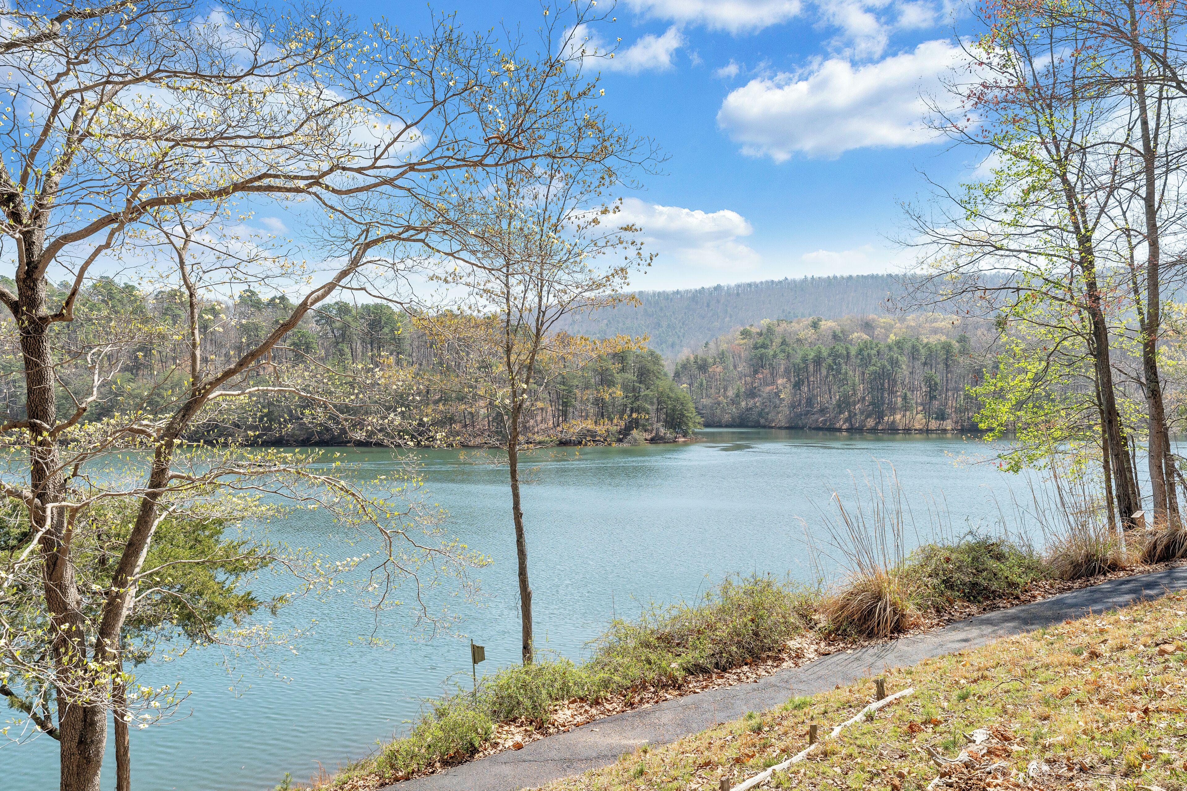 A lake surrounded by trees and a clear sky.