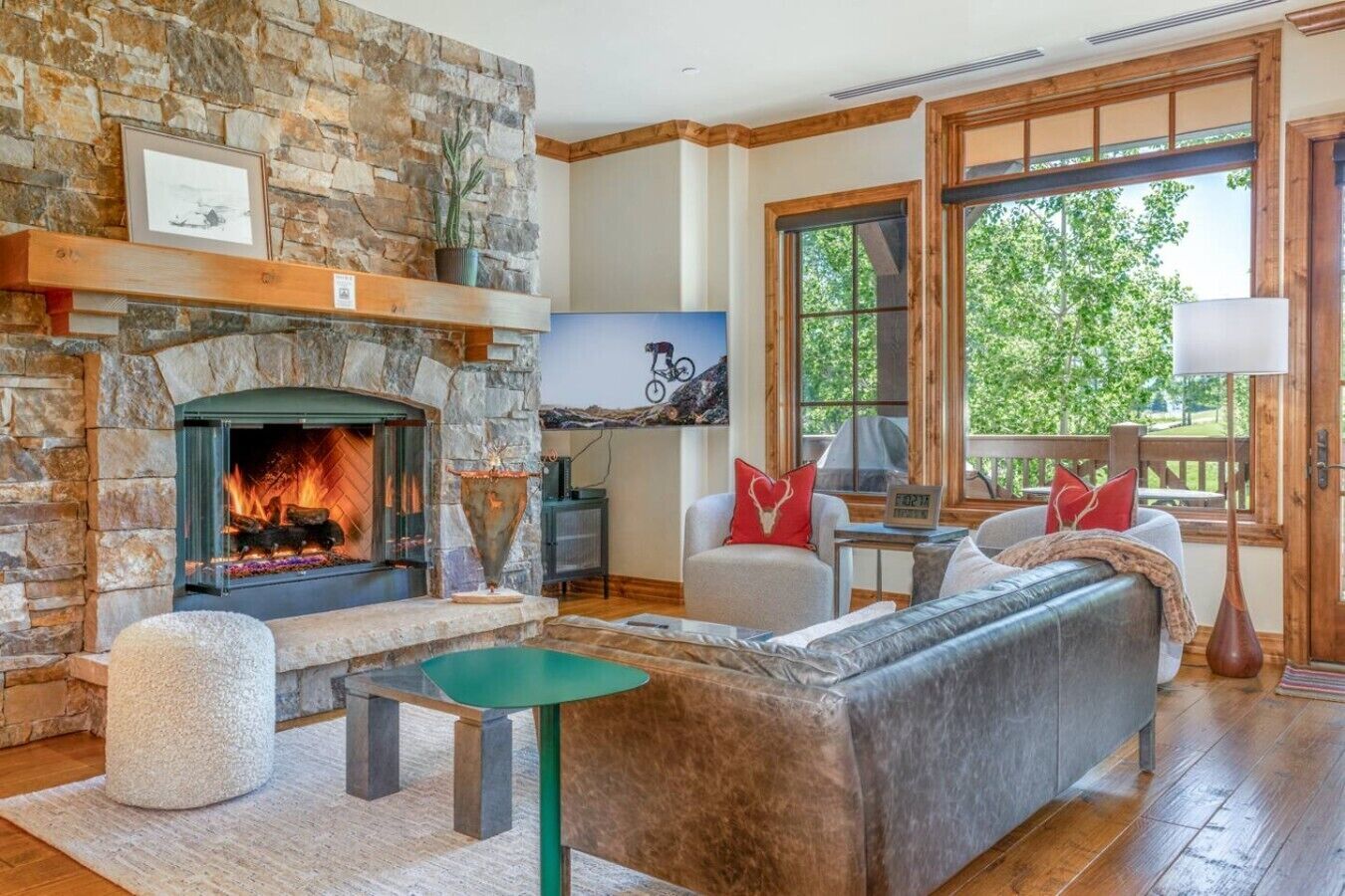 TV, fireplace