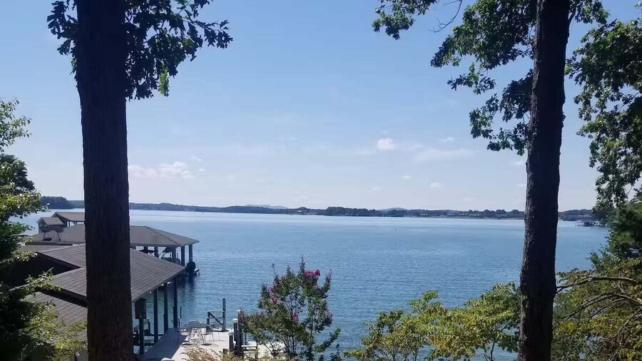 Cardinals Nest Smith Mountain Lake