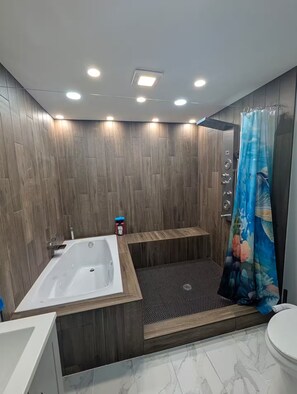 Ducha, bañera de hidromasaje, secador de pelo y bidé