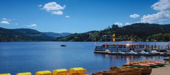 Forestum - Black Forest Luxury Apartments - Apartment Gams with sauna