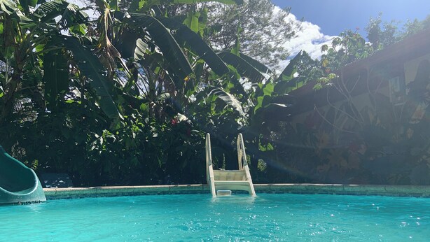 A clear swimming pool with a chair in the center, surrounded by lush greenery and a clear sky. - 4-bedroom farmhouse in gorgeous Nuevo Colón with cool AC breeze (Nuevo Colón)