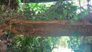A wooden sign with carved text, surrounded by dense foliage and hanging vines. - 4-bedroom farmhouse in gorgeous Nuevo Colón with cool AC breeze (Nuevo Colón)
