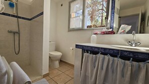 Une salle de bain avec douche, toilettes et lavabo.