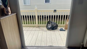 A wooden deck with a white fence, a black trash bag, and cardboard boxes.