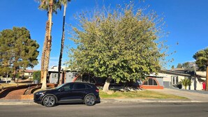 A residential street with a black car parked on the side, a large tree, and houses in the background. - Private Studio - 10 minutes from LV Strip, airport, and Convention Center (Las Vegas)
