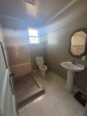 Bathroom - La Casa Verde: Peaceful 3BR Orchard Retreat Near Collins Lake (Rackerby)