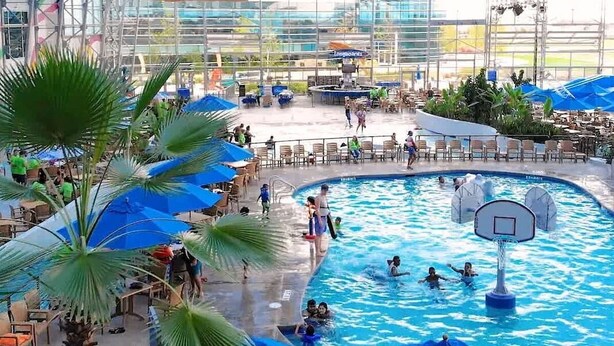 An indoor swimming pool with a glass ceiling, palm trees, and a basketball hoop. - 2BR.KingBed.NearStadiums.BalconyAccess.NoStairs (Arlington)