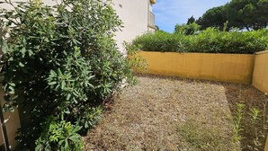 A courtyard with a yellow wall, a large bush, and a gravel path. - CAP D'AGDE - Plage du Môle / Réf 230 (CAP D'AGDE)