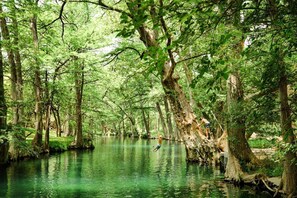 Ein friedlicher Wald mit einem Fluss, Bäumen und einer Person, die an einem Seil schwingt.