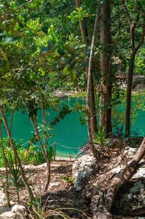 Exterior - Cenote Escondido - Cabañas y Camping (Juárez)