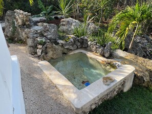 A small outdoor pool with a stone edge, surrounded by rocks and greenery.