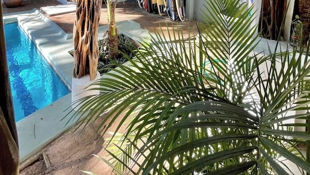 Un área de piscina con techo de madera, palmeras y tablas de surf.