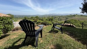 Zwei Adirondack-Stühle auf einer grasbewachsenen Anhöhe mit Blick auf einen Weinberg und sanfte Hügel in der Ferne.