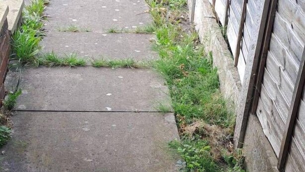 A concrete pathway bordered by a wooden fence with a metal gate. - Birmingham Bliss Retreat (Birmingham)