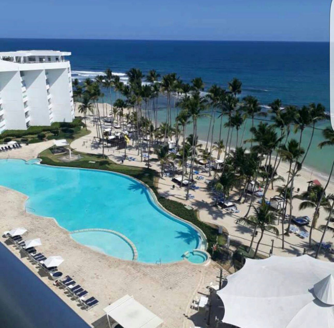 A resort with a large pool, palm trees, and a view of the ocean.