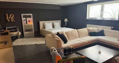Cozy basement apartment with excellent connections to Frankfurt