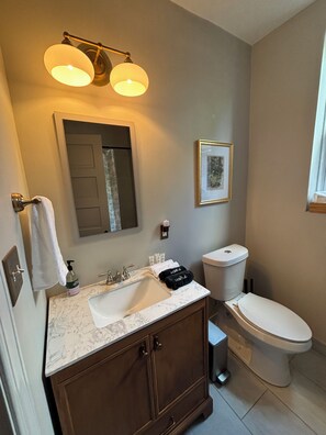 Bathroom - Walk to Tower Grove Park-Backyard, Grill, Garage + Walkable Dining- Sleeps 9 (St. Louis)