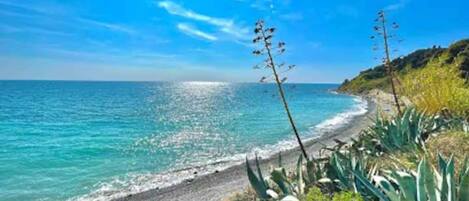 Playa en los alrededores