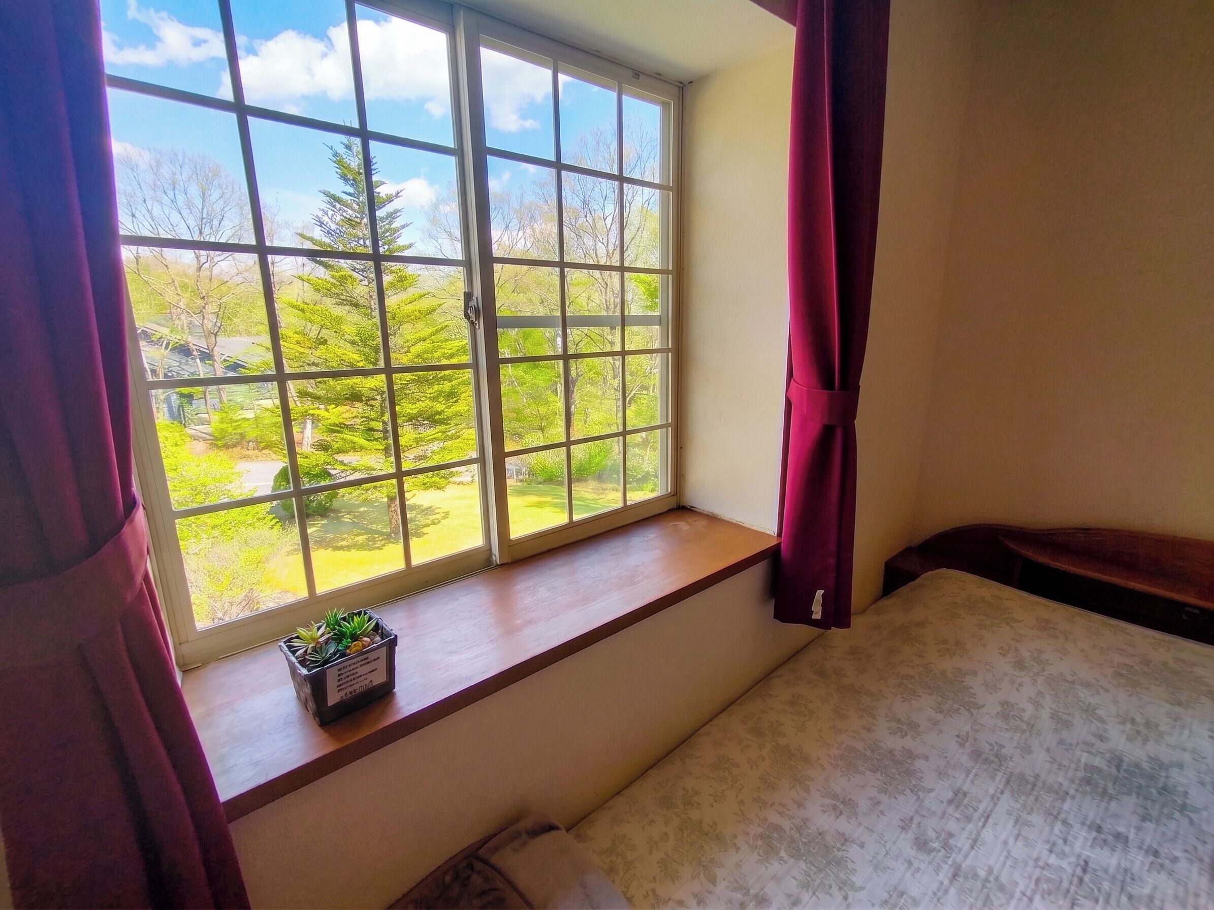 A room with a large window, a wooden bench, a small plant, and a bed.