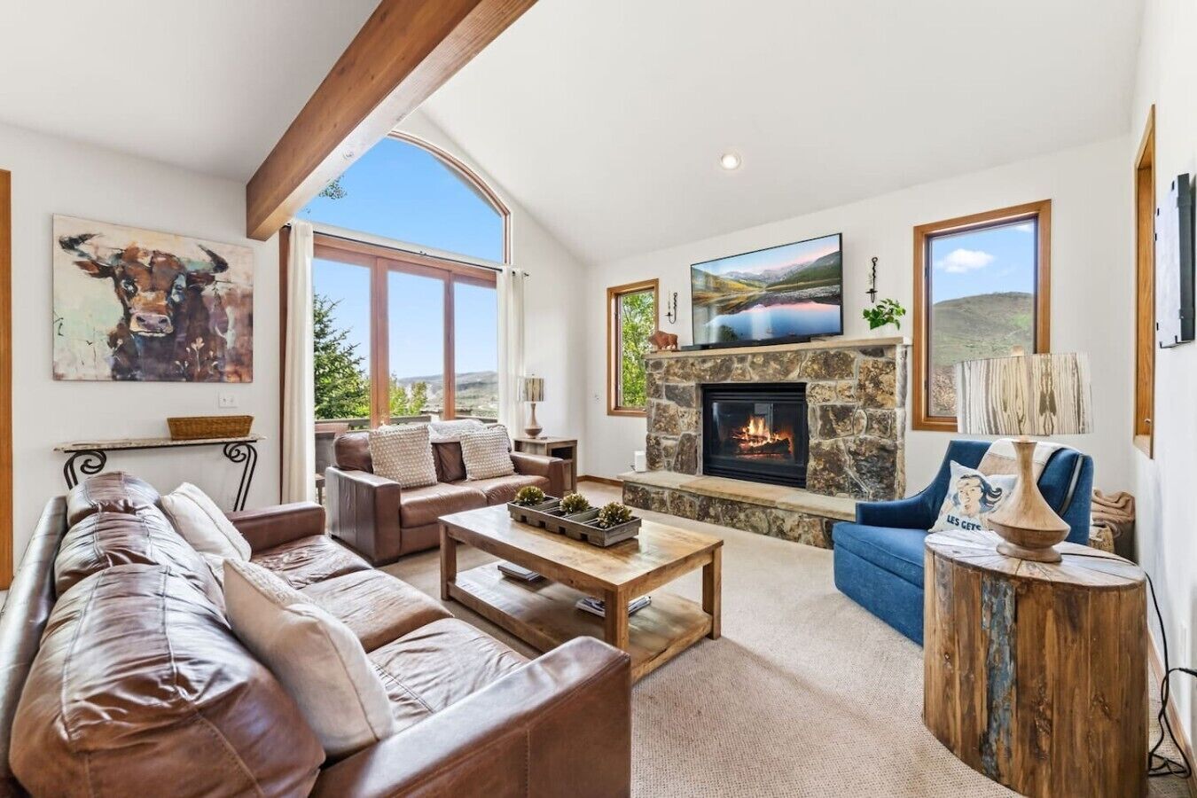 TV, fireplace