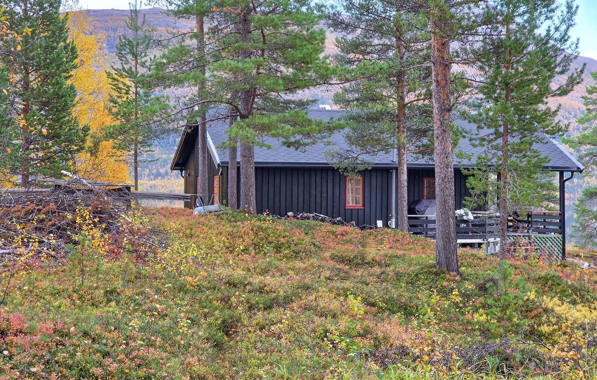 Eksteriør