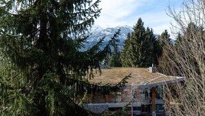 Un edificio moderno con tetto spiovente, circondato da alberi sempreverdi e uno sfondo montuoso.