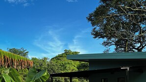 A small, single-story building with a balcony, surrounded by lush greenery and banana plants. - Tropical Forest Experience with Hot Tub, AC & Terrace (Atenas)