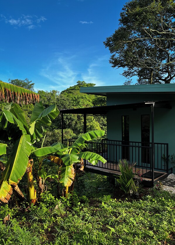 Un petit bâtiment d’un seul étage, doté d’un balcon, entouré d’une végétation luxuriante et de bananiers.