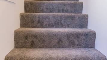 A carpeted staircase with a handrail on the right side.