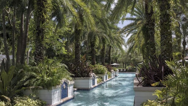 Ein Pool, umgeben von üppiger Vegetation und Palmen.