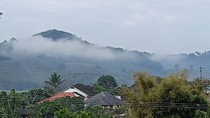 Miscellaneous - House 389-A Quiet Home Above the Valley in the City (Chiang Rai, Chiang Rai Province)