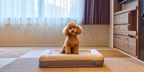 [C] Dog-friendly / 2 double beds + 2 futons / Projector / Mini kitchen, Non Smoking