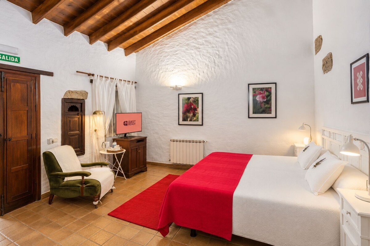 A hotel room with a bed, a desk, a chair, a television, and a red rug.