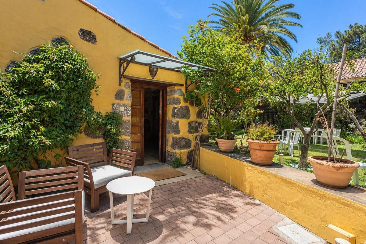 Un patio exterior con una mesa y sillas, un muro de piedra y plantas en macetas.