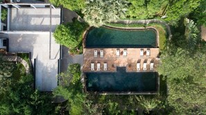 Exterior - The Forest (Siem Reap)