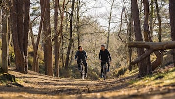 Two people cycling on a forest trail.