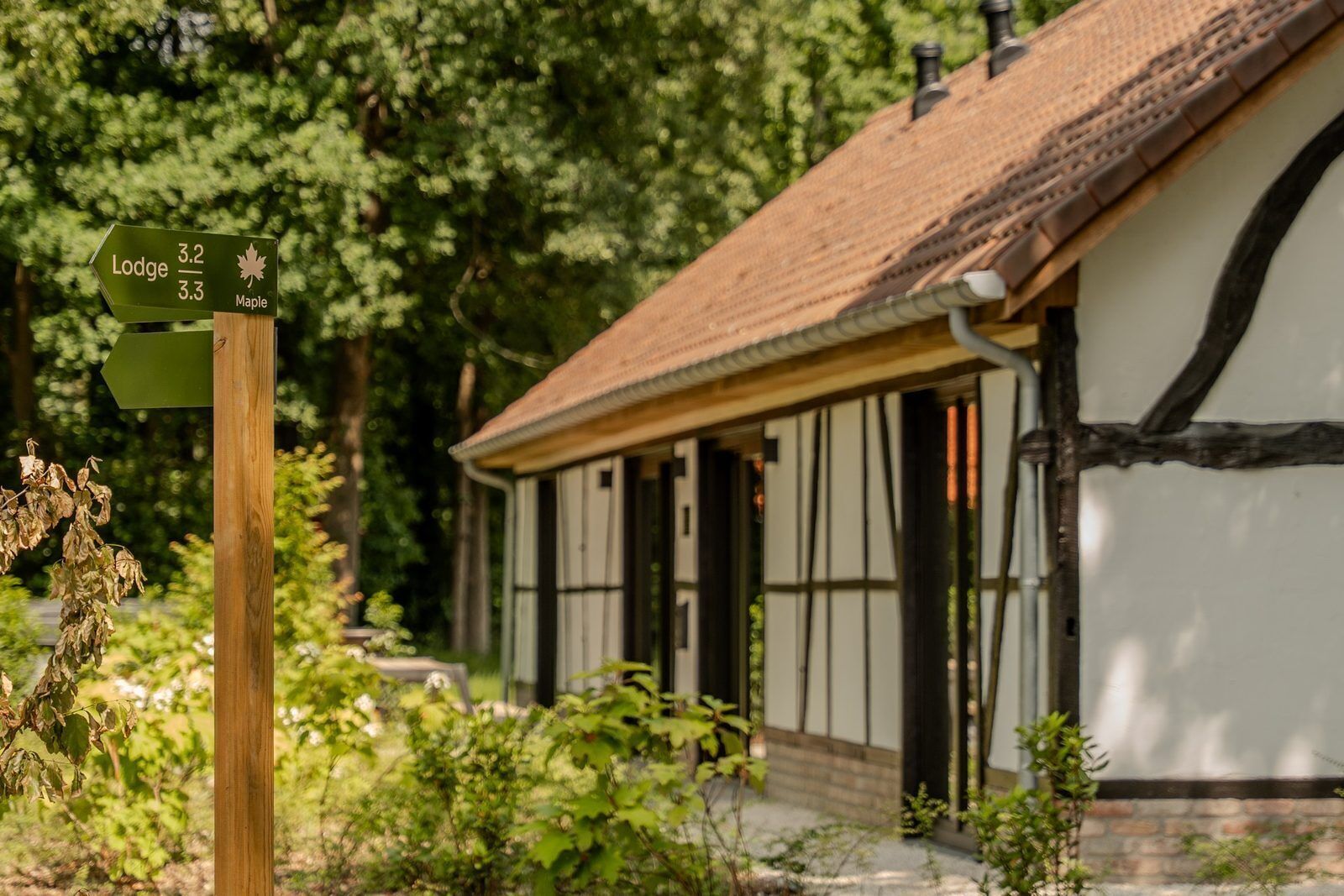 A traditional building with a thatched roof, a signpost indicating distances to a lodge, and a forested backdrop.