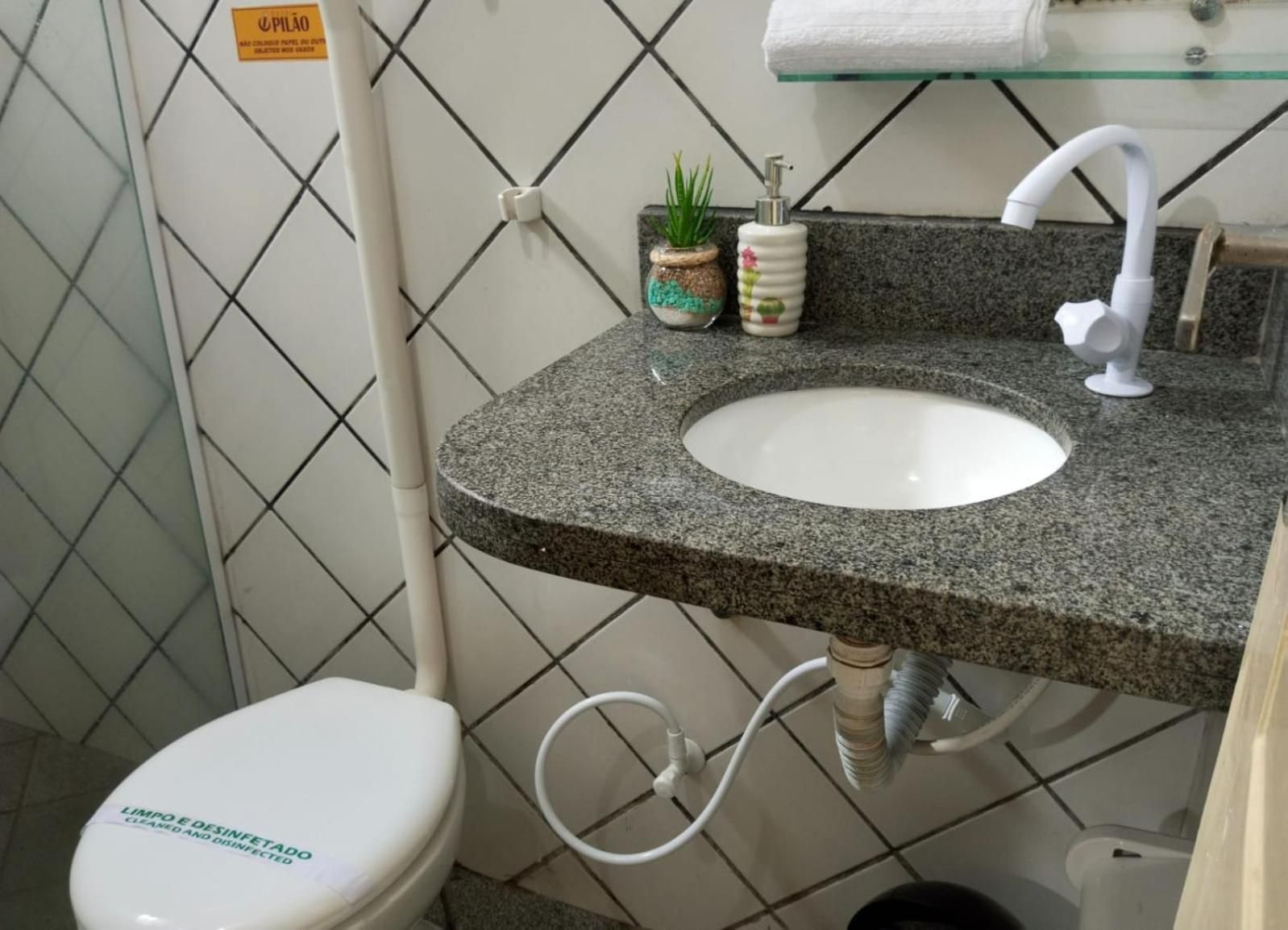 Casa de banho com sanita branca, lavatório de granito, prateleira de vidro acima do lavatório e uma pequena planta em vaso sobre a prateleira.